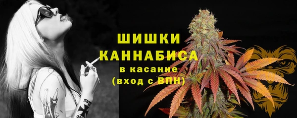apvp Армянск