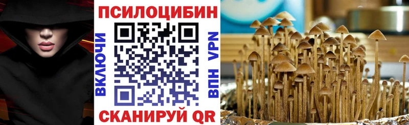 Галлюциногенные грибы Psilocybe  hydra ссылки  Мытищи  наркошоп 